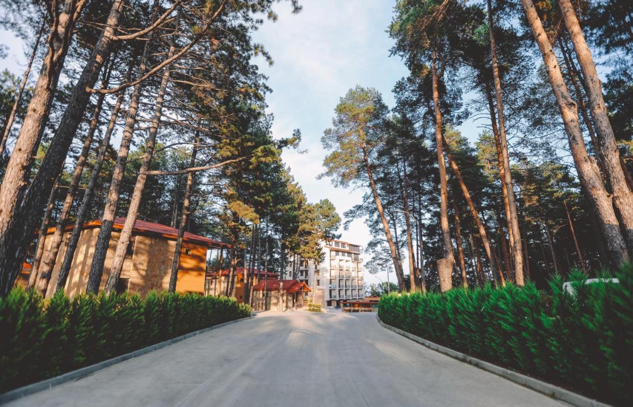 Zuzumbo Resort & Spa Telavi Ngoại thất bức ảnh