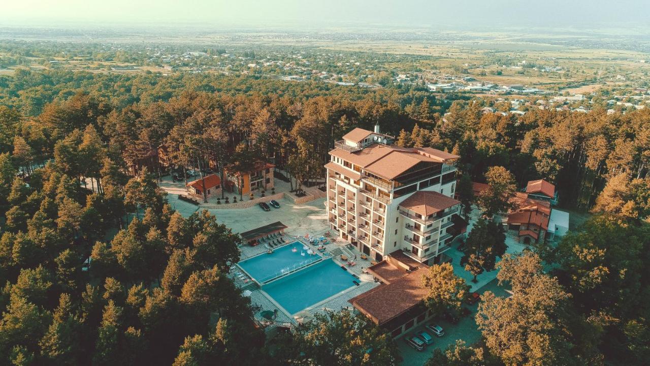 Zuzumbo Resort & Spa Telavi Ngoại thất bức ảnh